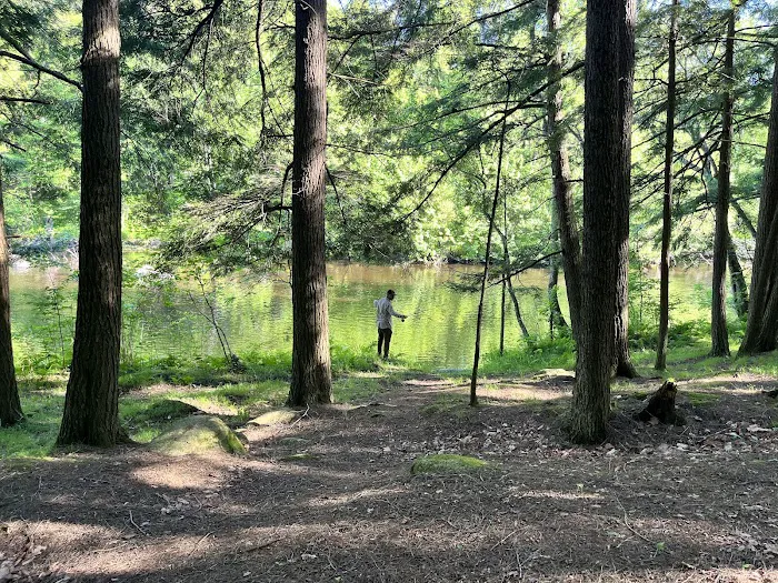McClintock Campground 3