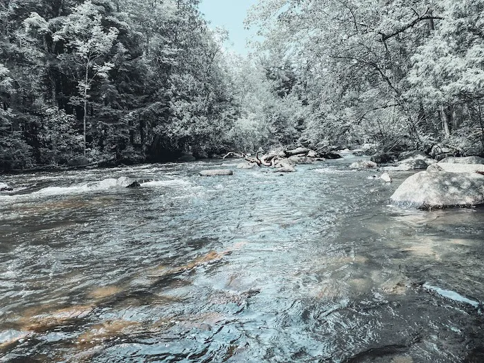 McClintock Campground 1