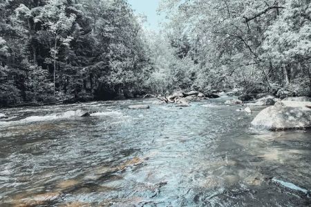 McClintock Campground