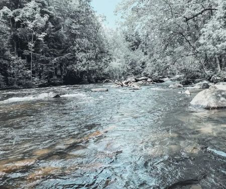 McClintock Campground