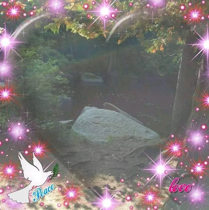 McClintock Campground 8