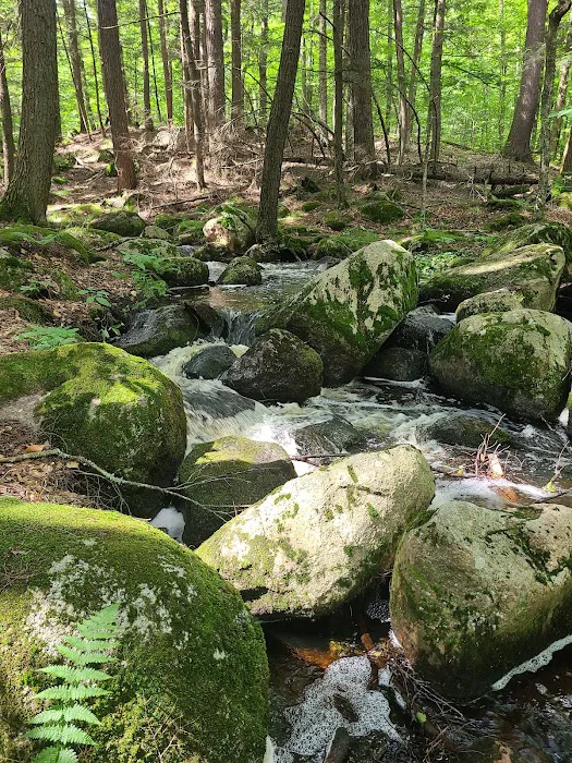 McClintock Campground 7