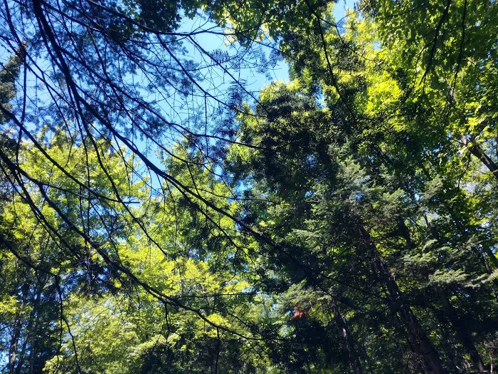 Bear Lake Campground 8