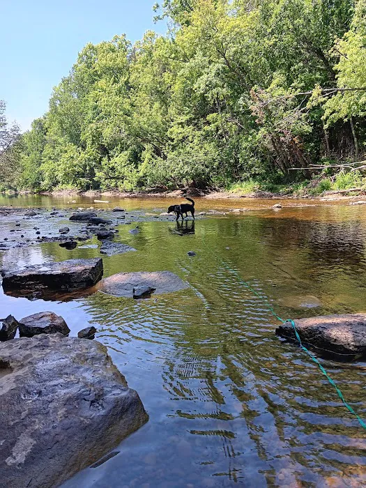 Cedar River North State Forest Campground 1
