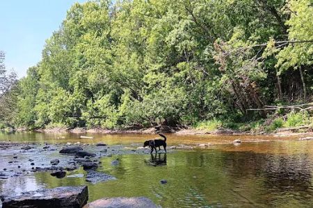 Cedar River North State Forest Campground