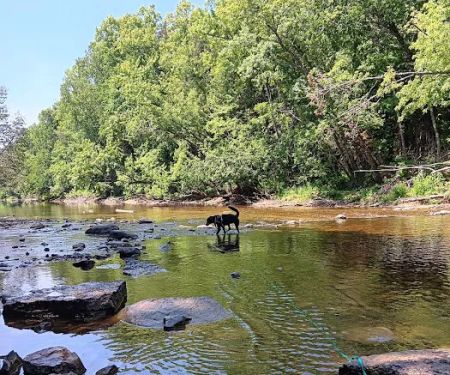 Cedar River North State Forest Campground