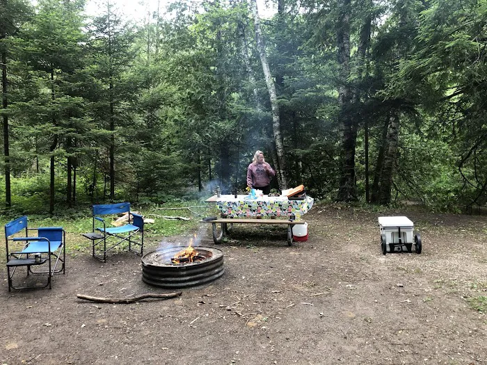 Cedar River North State Forest Campground 6