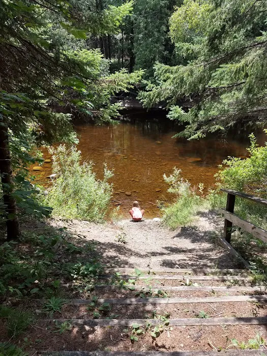 Cedar River North State Forest Campground 4