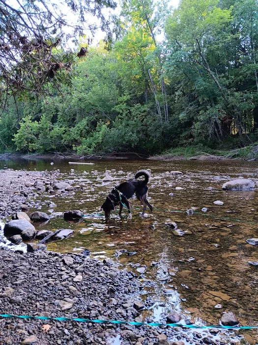 Cedar River North State Forest Campground 9