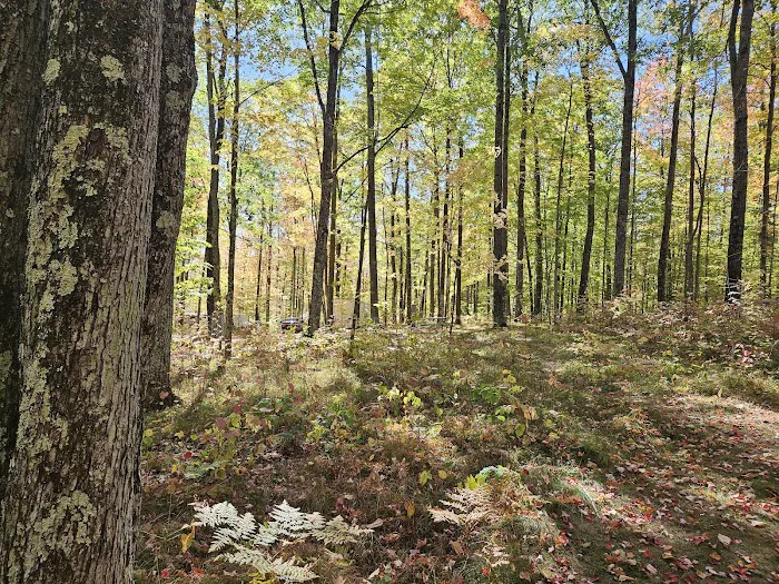 Chalk Hills Campground 10
