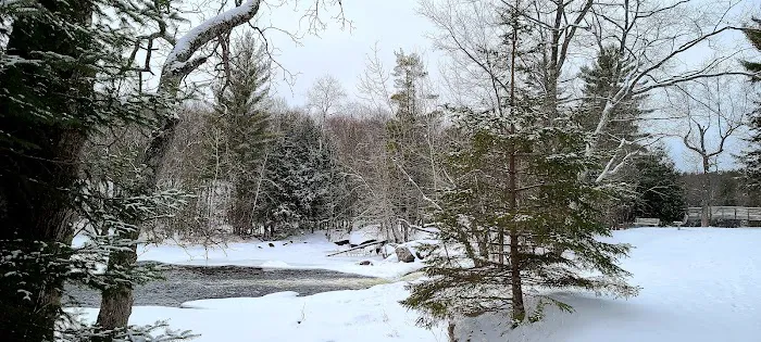Goodman Park Campground 4