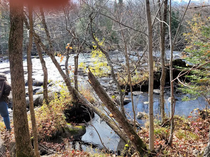 Goodman Park Campground 7