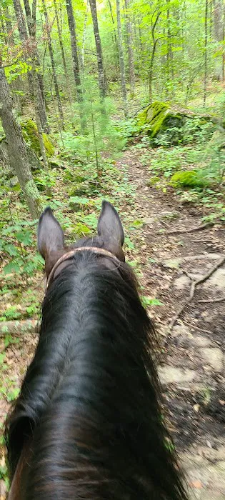 Horseshoe falls equine campground. 6