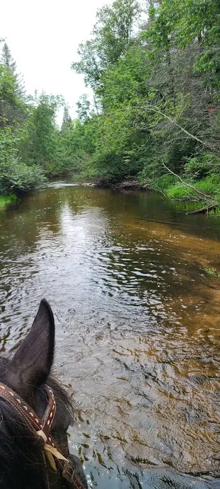 Horseshoe falls equine campground. 5