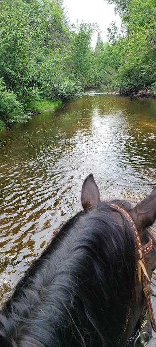 Horseshoe falls equine campground. 2