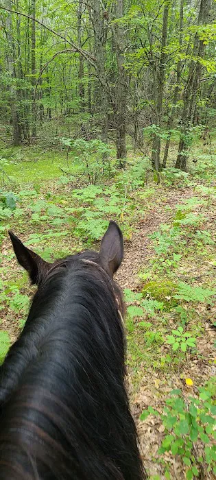 Horseshoe falls equine campground. 10