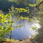 Game Lake Campsite