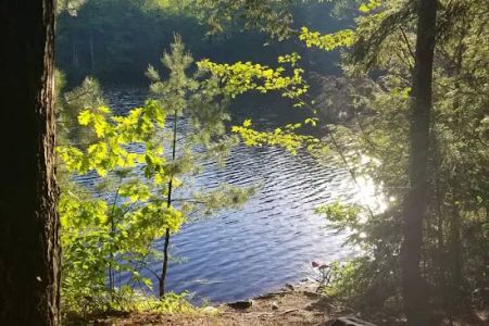 Game Lake Campsite