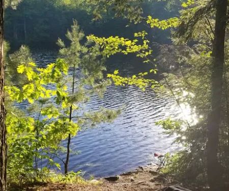 Game Lake Campsite