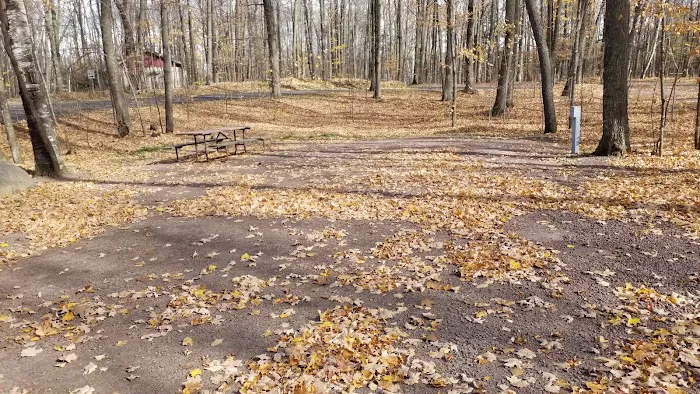 Jack Lake Campground 5