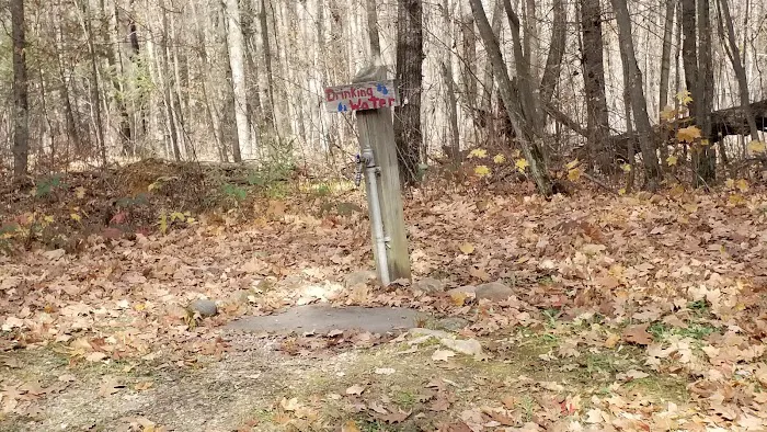 Jack Lake Campground 6