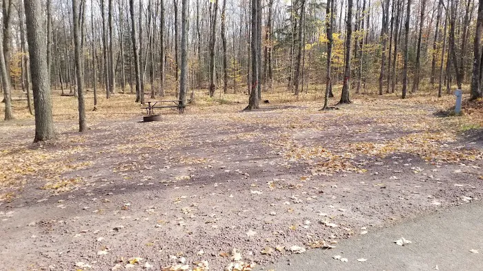 Jack Lake Campground 10