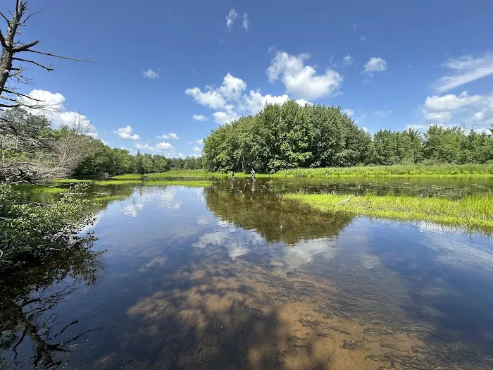 Perch Lake Campground 4
