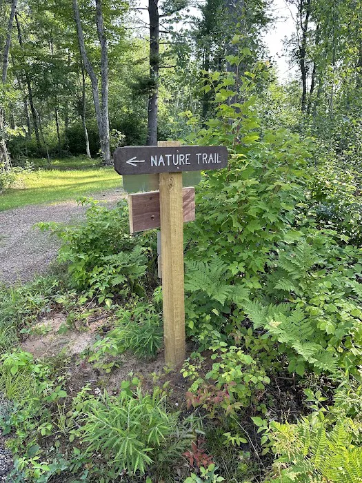 Perch Lake Campground 8
