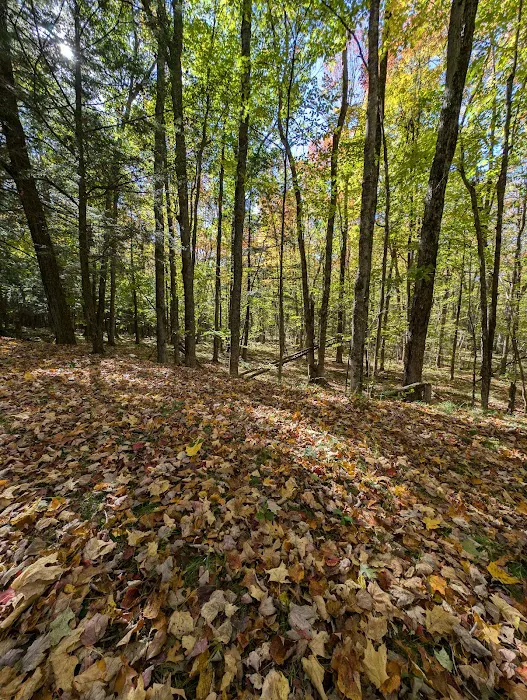 Council Grounds State Park Group Campground 8