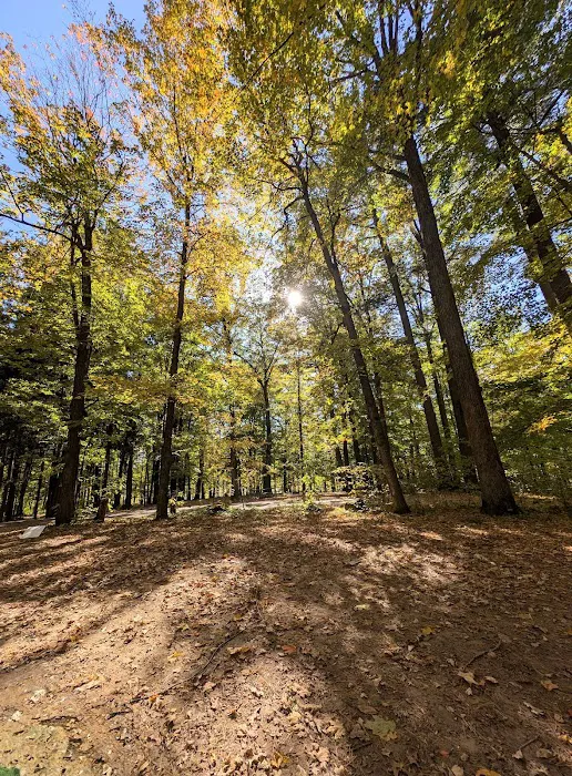 Council Grounds State Park Group Campground 10
