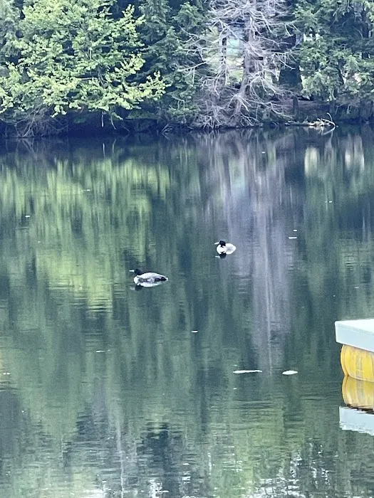 Ham Lake Campground 4