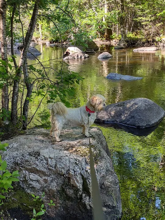 Trailside Hideaway LLC 1