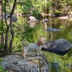 Trailside Hideaway LLC