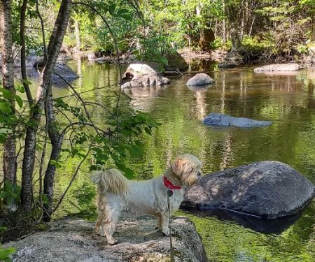 Trailside Hideaway LLC