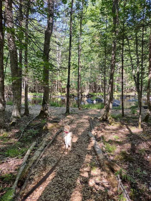Trailside Hideaway LLC 9