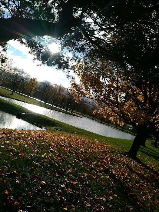 Dorchester Park and Campground 8