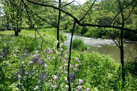 Lost Arrow Campground (55+ seasonal campsites)