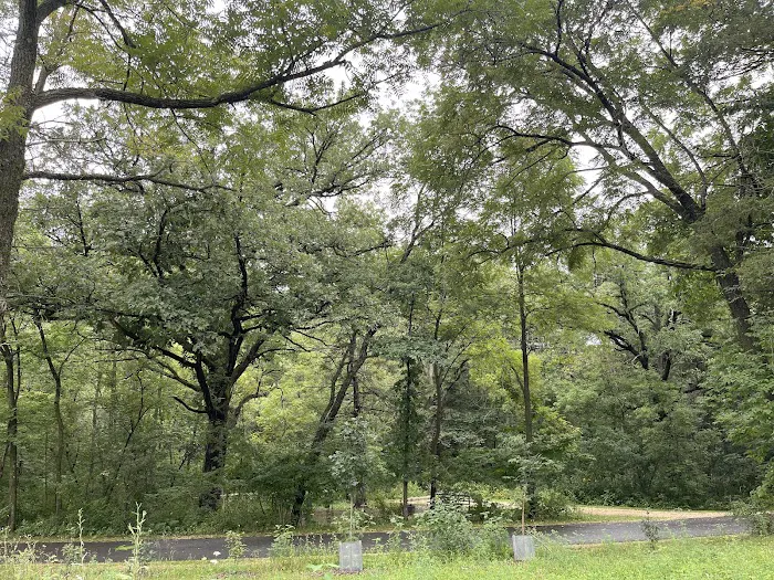 Minneiska Campground 9