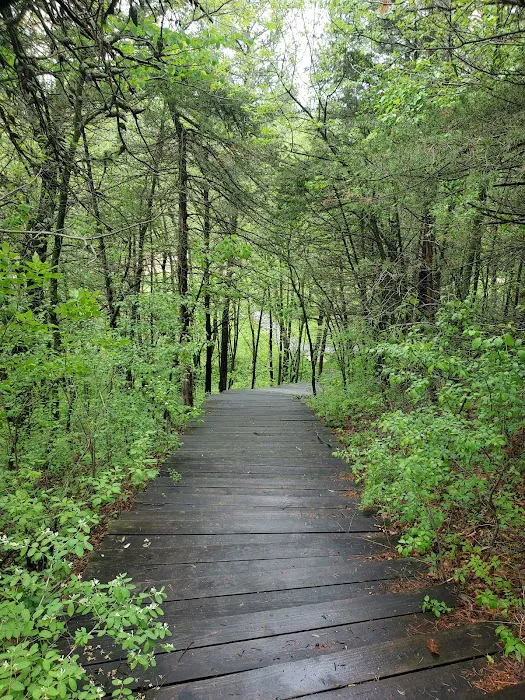 Kruger Campground 4