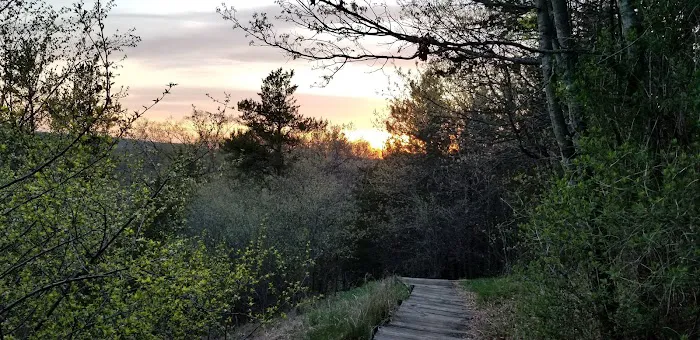 Kruger Campground 8