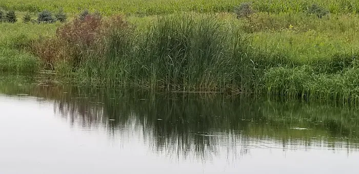 Oakwoods Trails Campground 4