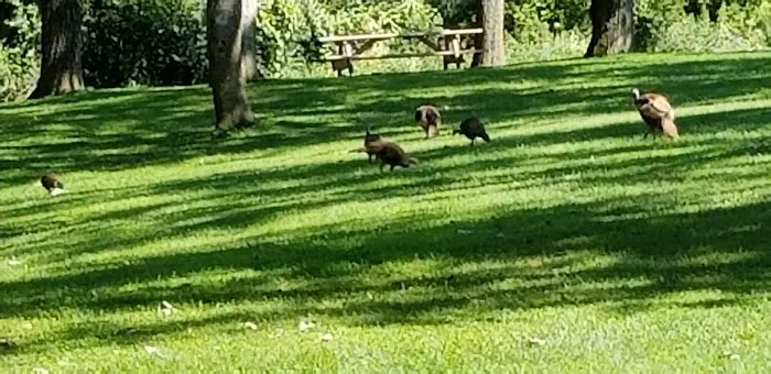 Oakwoods Trails Campground 5