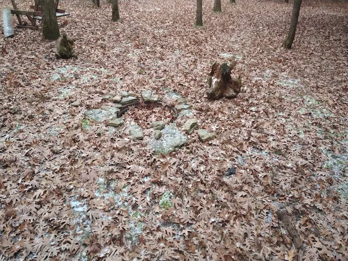 #7 White Oak camp site 2
