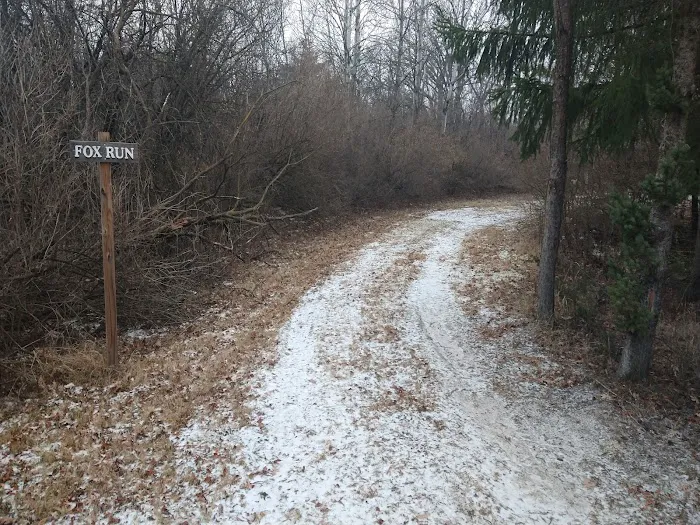 #4 Fox Run camp site 4