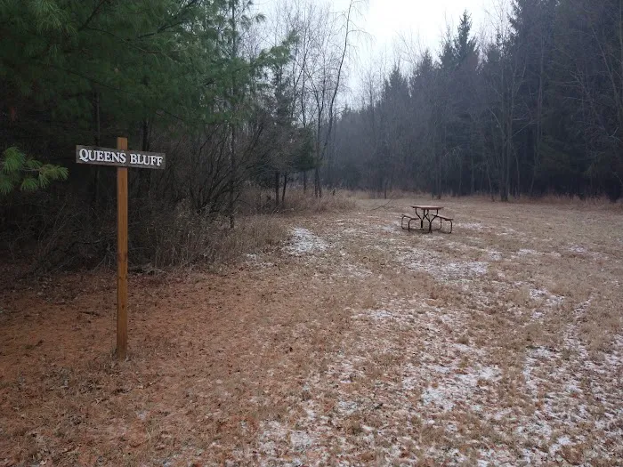 #8 Queens Bluff camp site 1