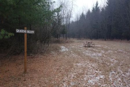 #8 Queens Bluff camp site