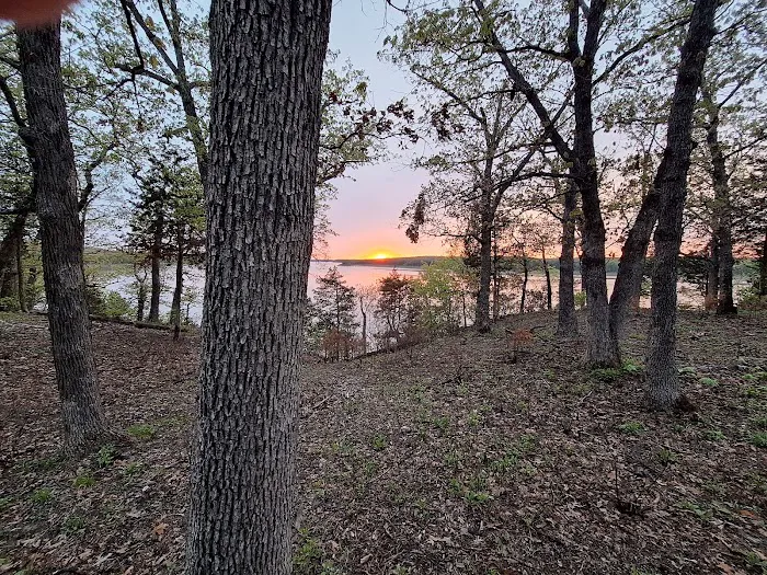 Badger Campground 3