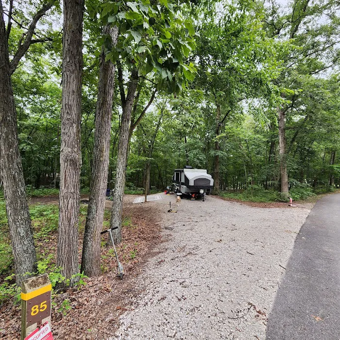 Puma Campground 8