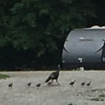 Dry Dock Campgrounds