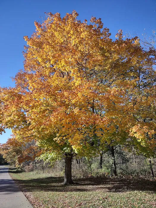 Marion County Park 10